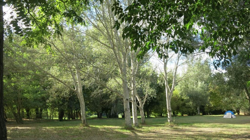 Camping Paradis Bellerive Montfrin Exterior foto